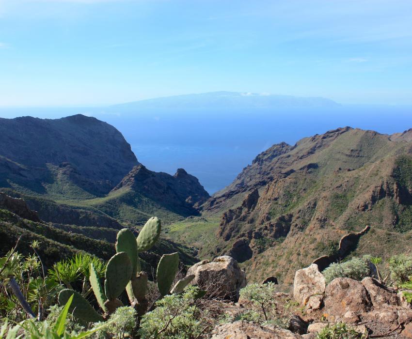 The Ultimate Guide to Taxation for House Owners on the Canary Islands